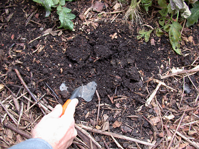 Mulch,erosion control and soil temperature